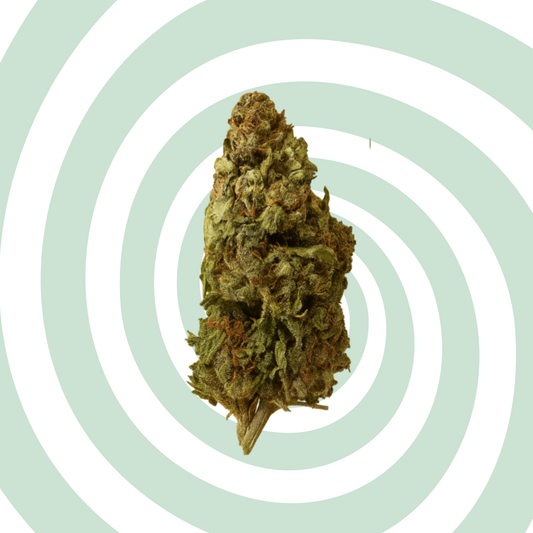 Lemon Buddha
