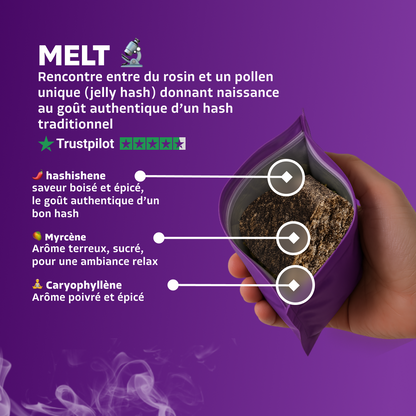 Melt