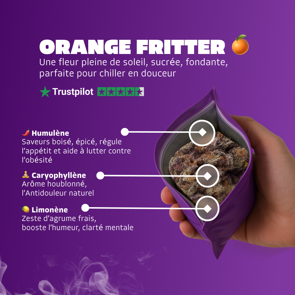 🍊 Orange Fritter