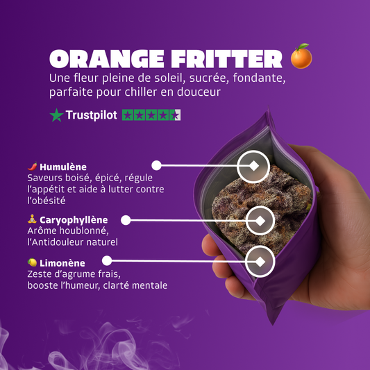 🍊 Orange Fritter