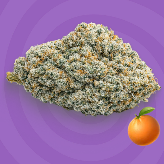 Orange Bitter