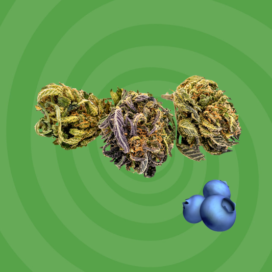 Blueberry