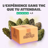 Pack Gustatif