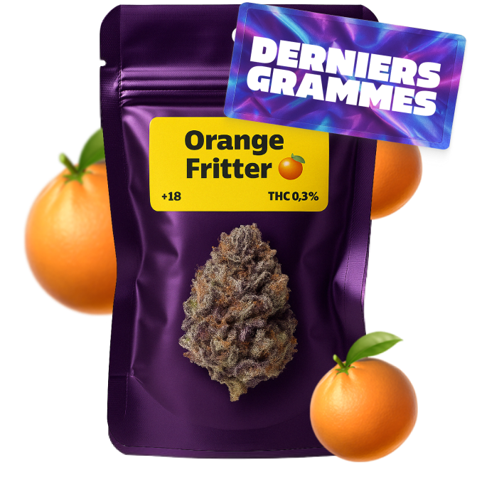 🍊 Orange Fritter