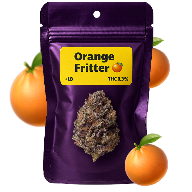 🍊 Orange Fritter