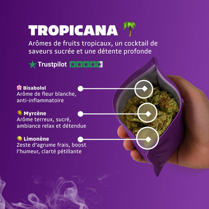 Tropicana 🌴