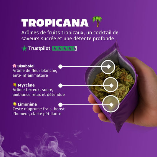 Tropicana 🌴