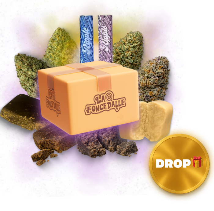 Box Gustatif Édition Drop