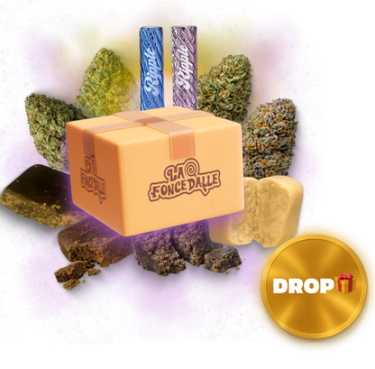 Box Gustatif Édition Drop