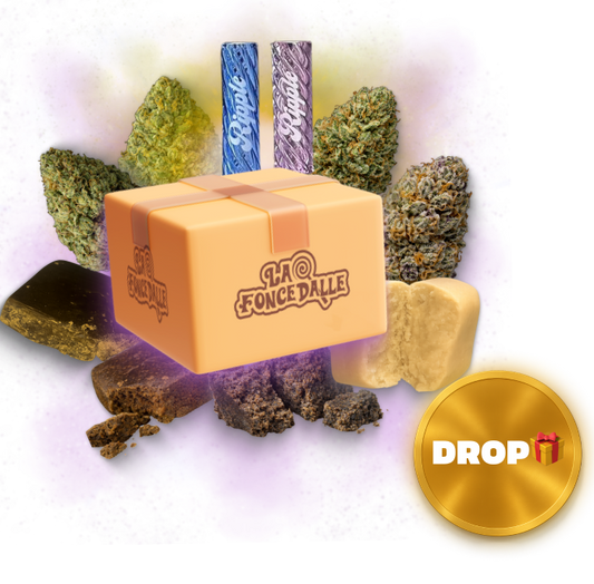 Box Gustatif Édition Drop