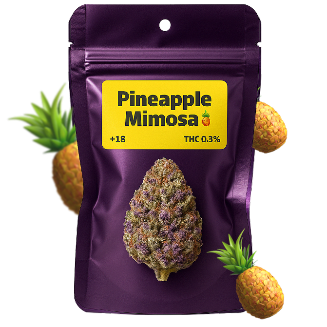 🍍 Pineapple Mimosa
