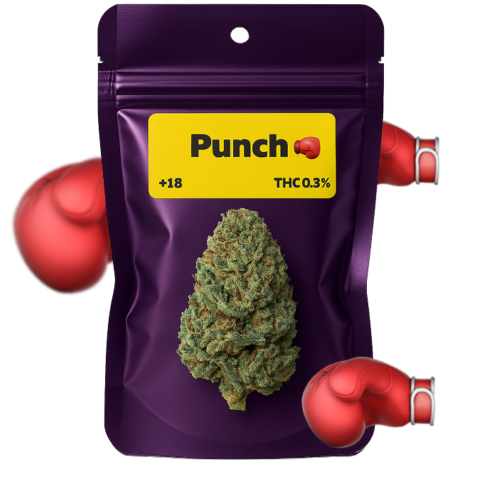 🥊 Punch