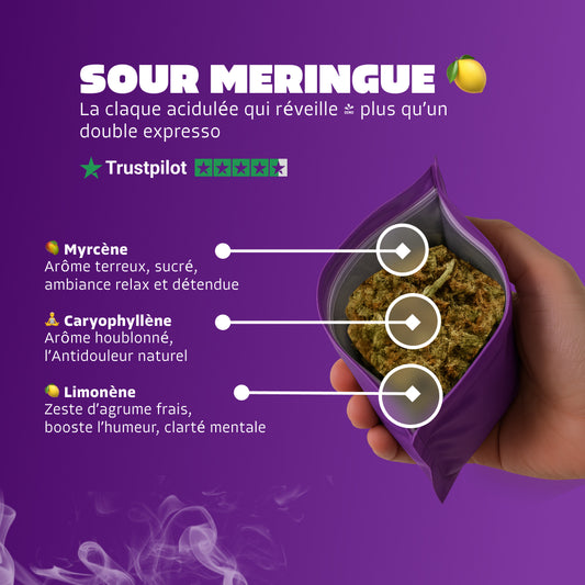 🍋 Sour Meringue