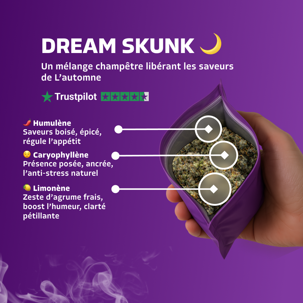Dream Skunk