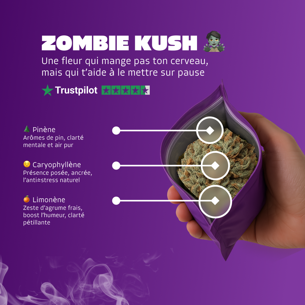 🧟 Zombie Kush