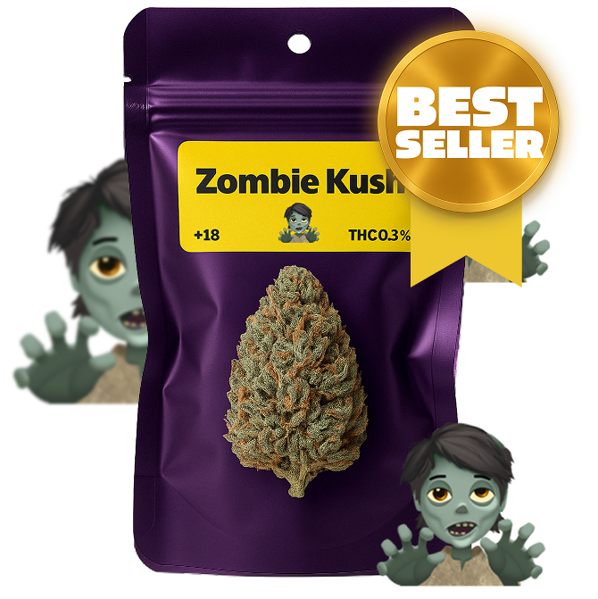 🧟 Zombie Kush