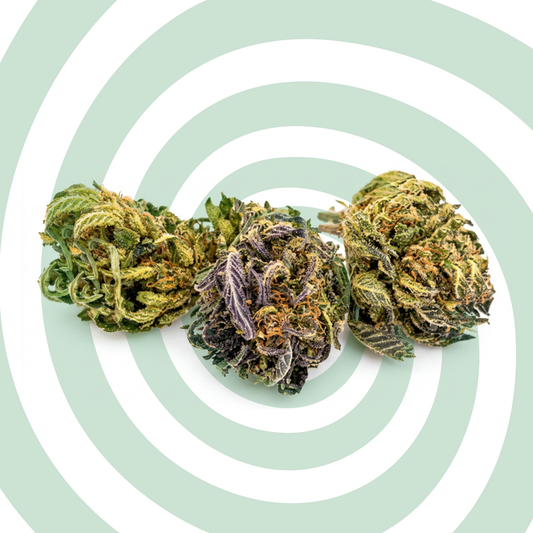 Blueberry
