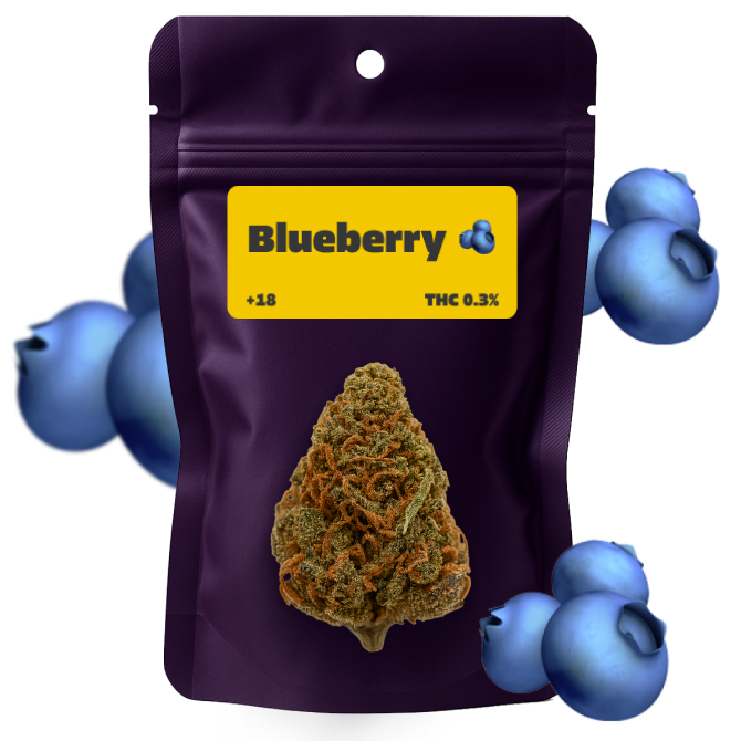 🫐 Blueberry