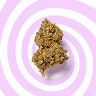 Blueberry Muffin