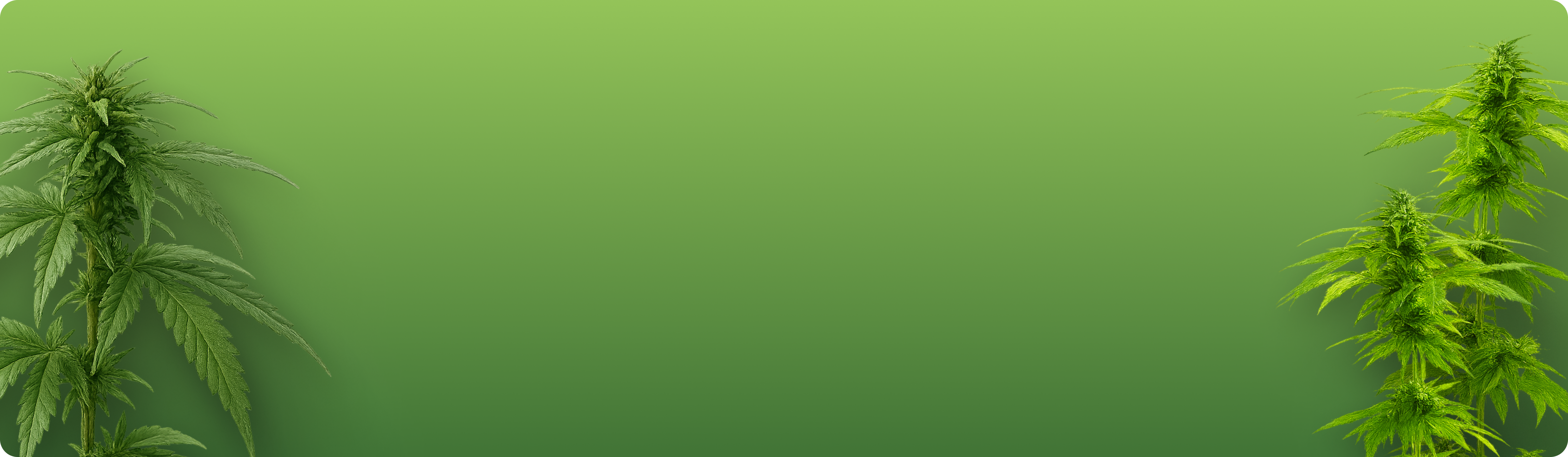 FAQ header