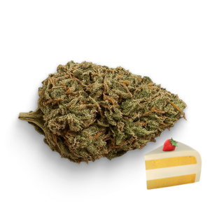 🍰 Cheese Cake