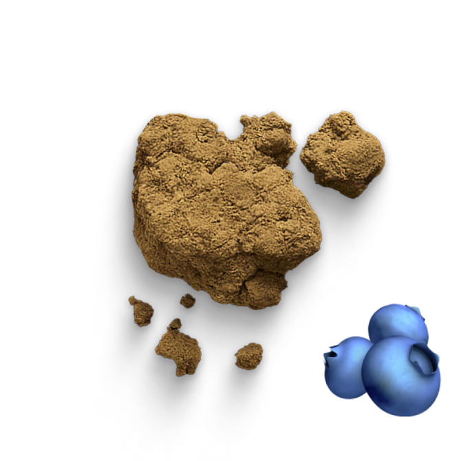 🫐 Dry Sift Blueberry
