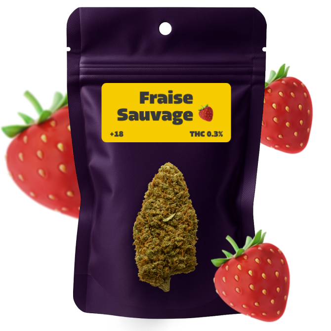 🍓 Fraise Sauvage