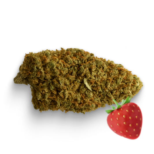 🍓 Fraise Sauvage