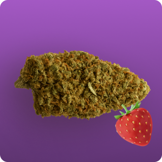 Échantillon Fraise Sauvage