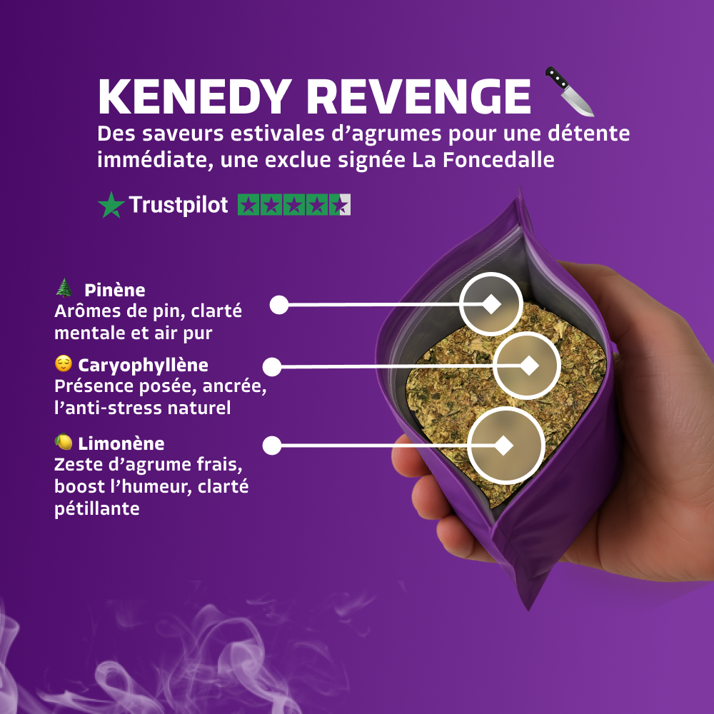 Kenedy Revenge