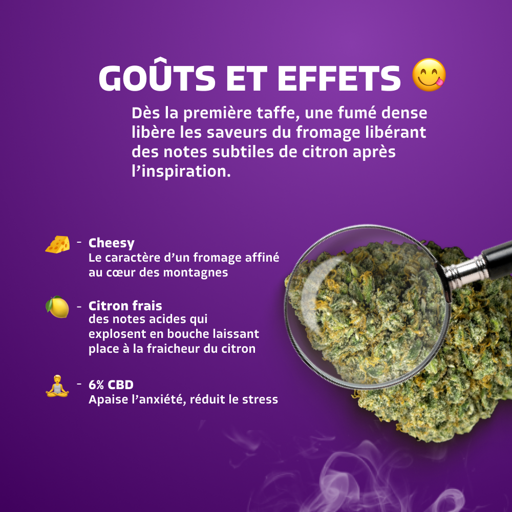 Lemon Cheese