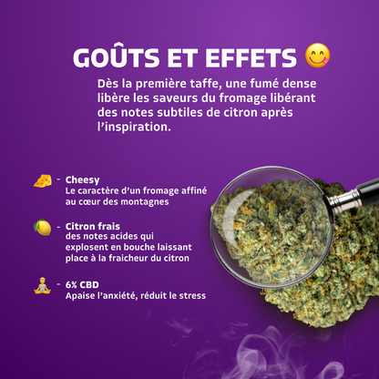 Lemon Cheese