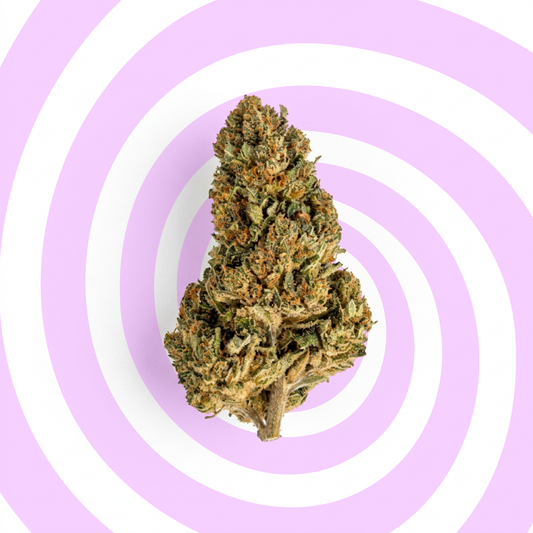 Lemon Mimosa