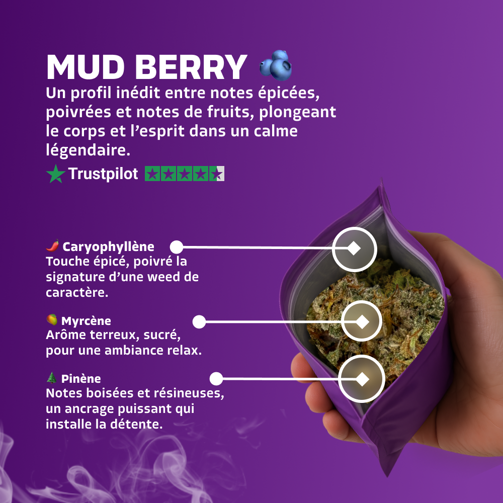 Mud Berry