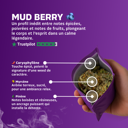 Mud Berry