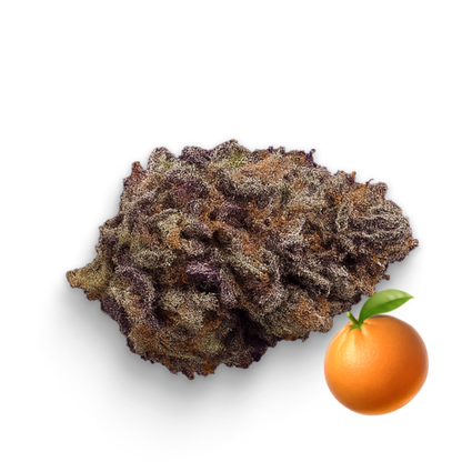 🍊 Orange Fritter