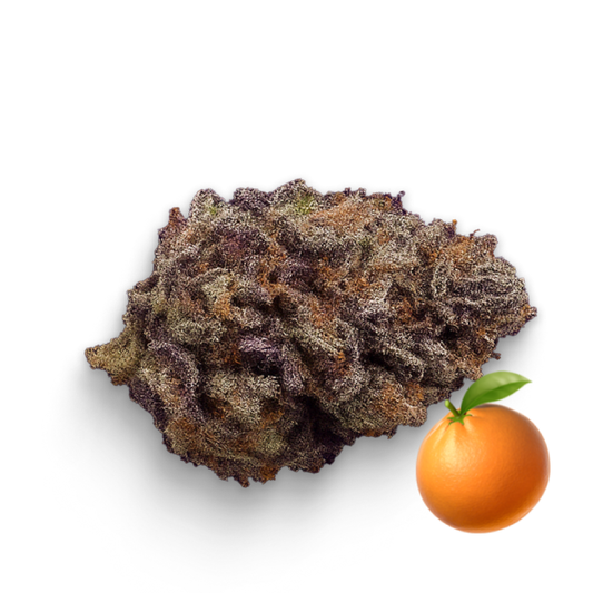 🍊 Orange Fritter