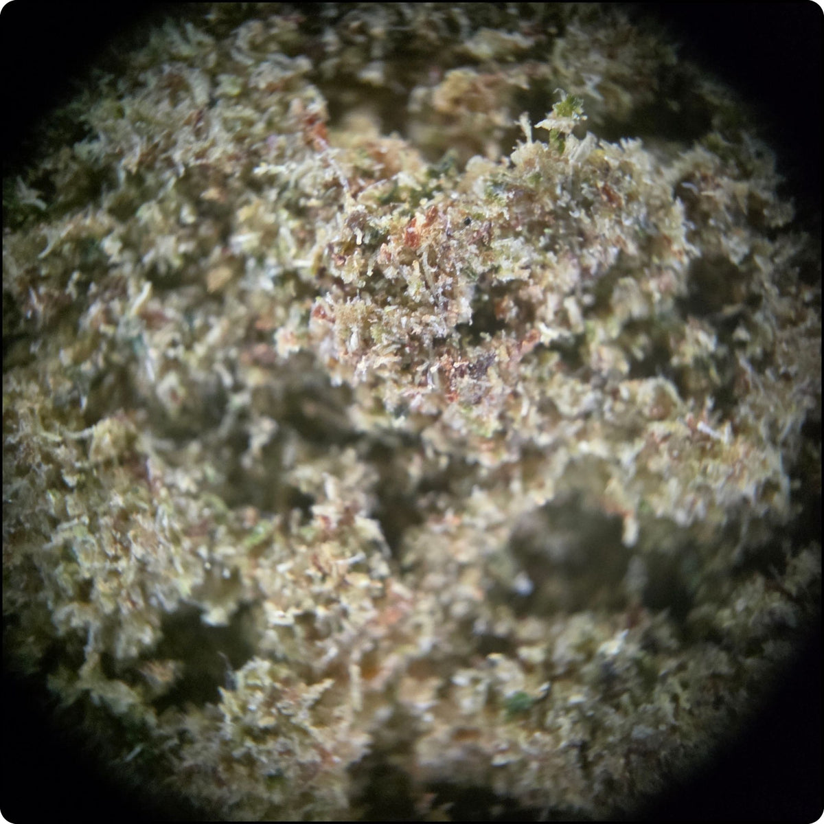 Dry Peachy Peach