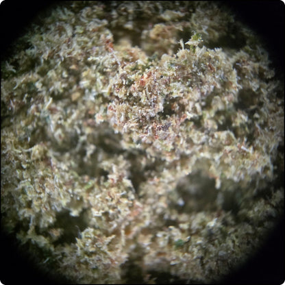 Dry Peachy Peach