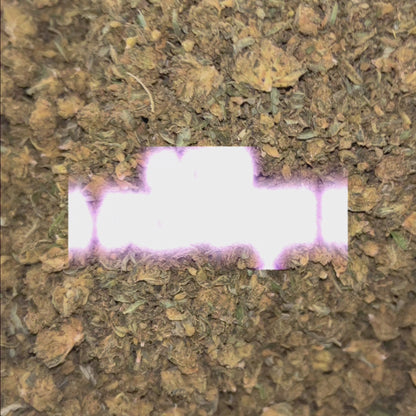 Box Édition Limité