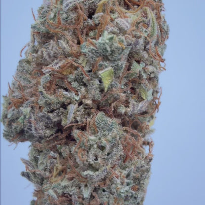 Mud Berry