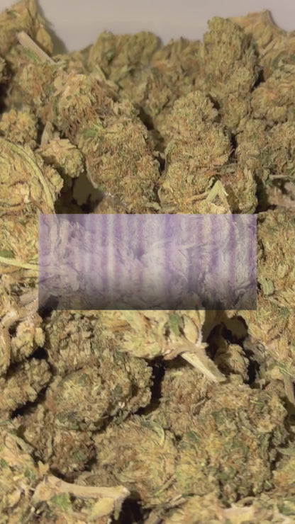 G2 Kush