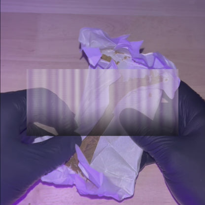 Box Gustative