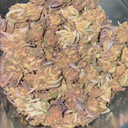 Blueberry