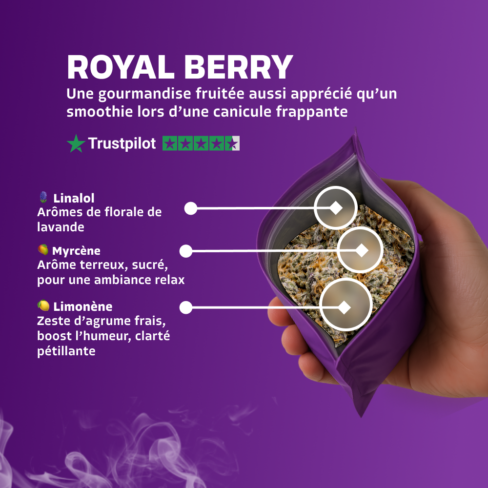Royal Berry