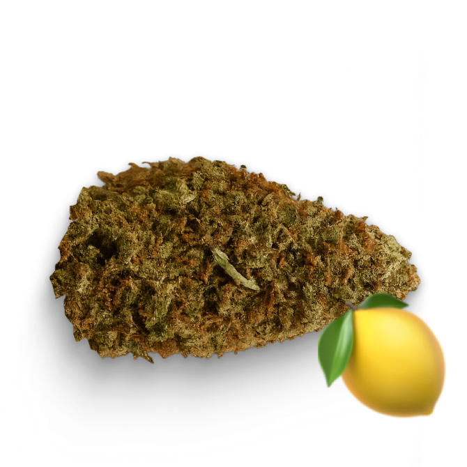🍋 Sour Meringue