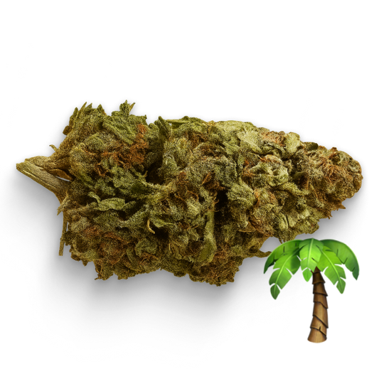 Tropicana 🌴